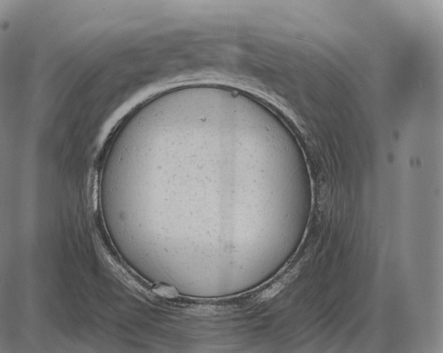 X0000085011510200703261141