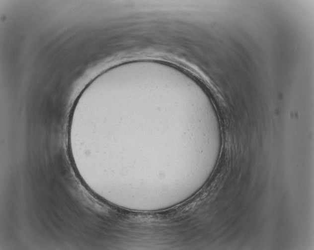 X0000085011512200703261141