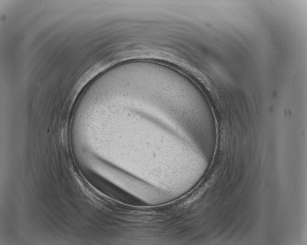 X0000085011513200703261141