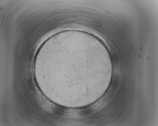 X0000085011514200703261141