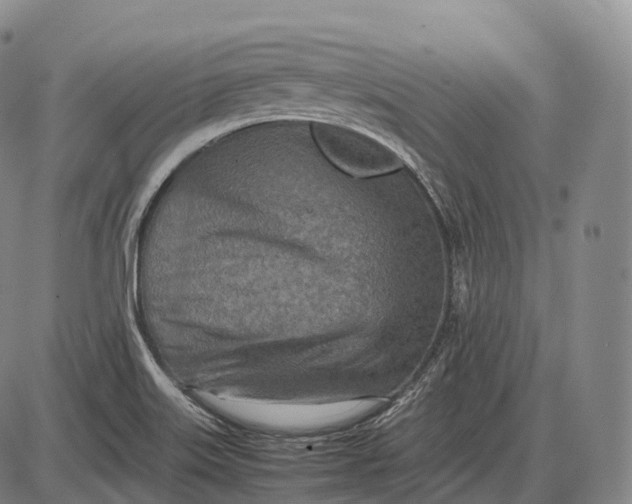 X0000085011515200703261141