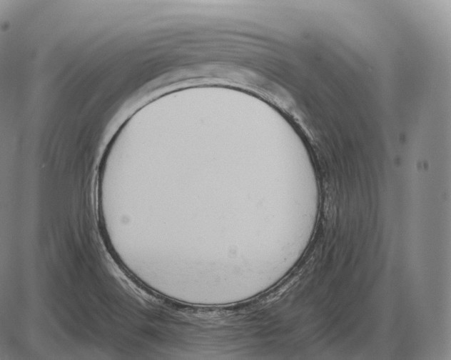 X0000085011516200703261141