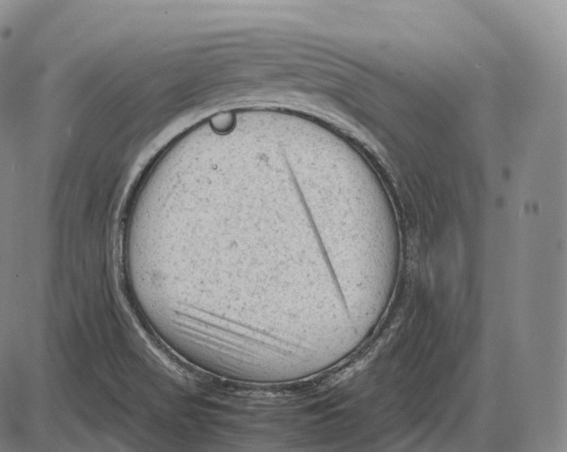 X0000085011517200703261141