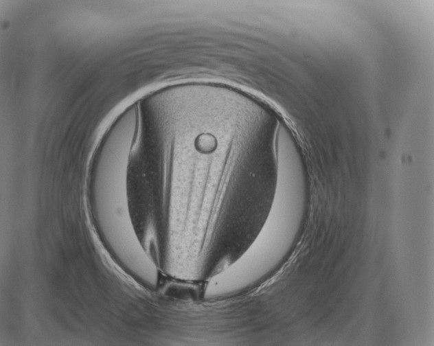 X0000085011518200703261141