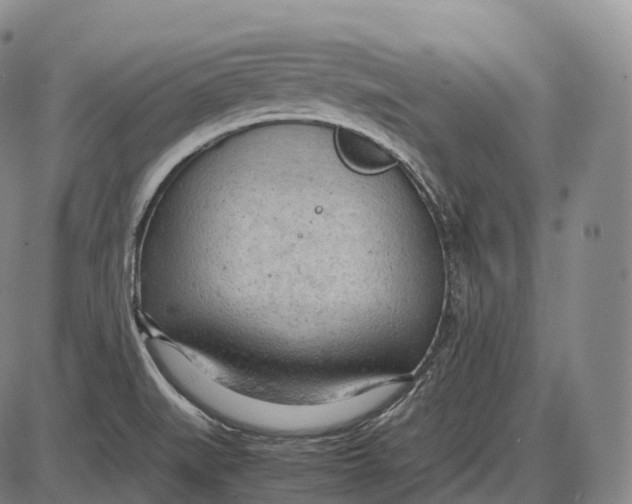 X0000085011519200703261141