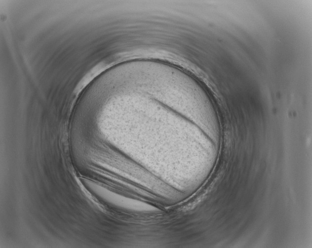 X0000085011521200703261141