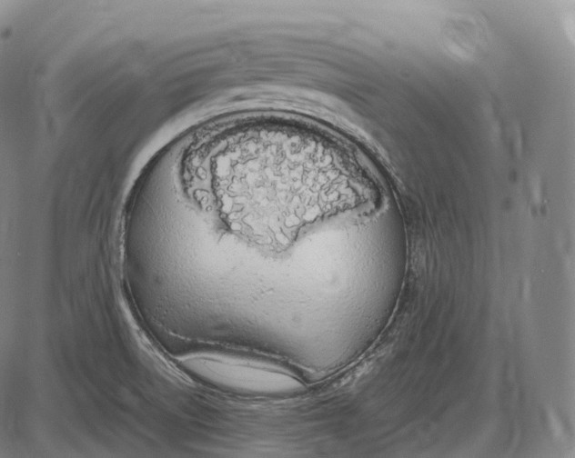 X0000085011522200703261141