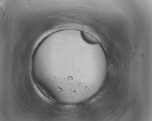 X0000085011523200703261141