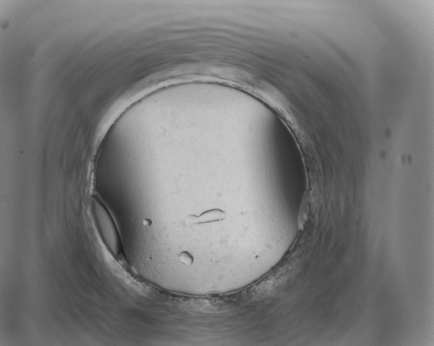 X0000085011524200703261141