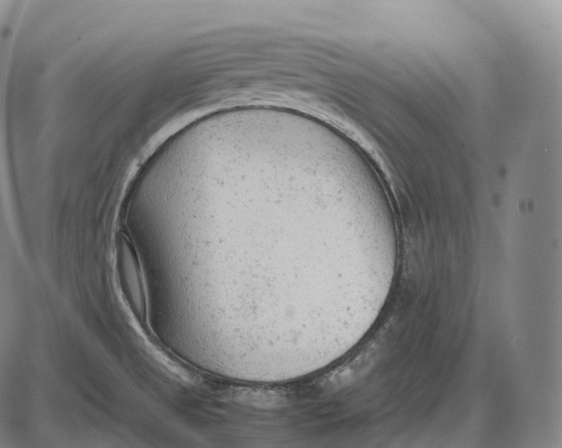 X0000085011525200703261141