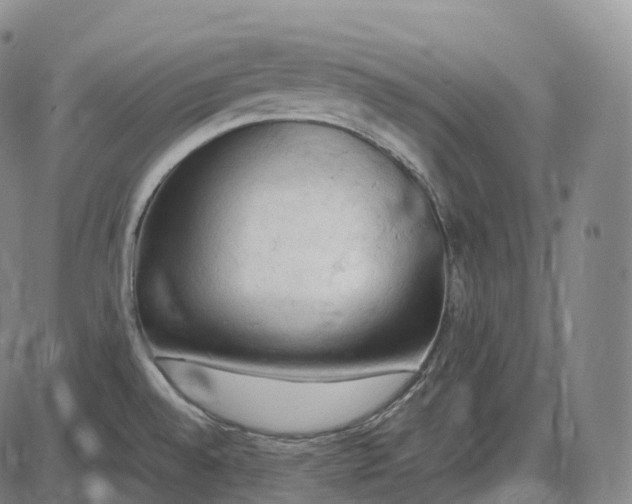 X0000085011528200703261141