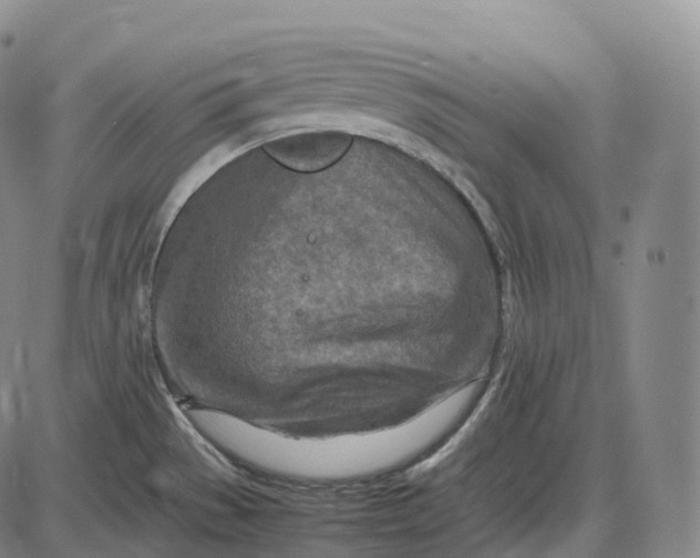 X0000085011529200703261141