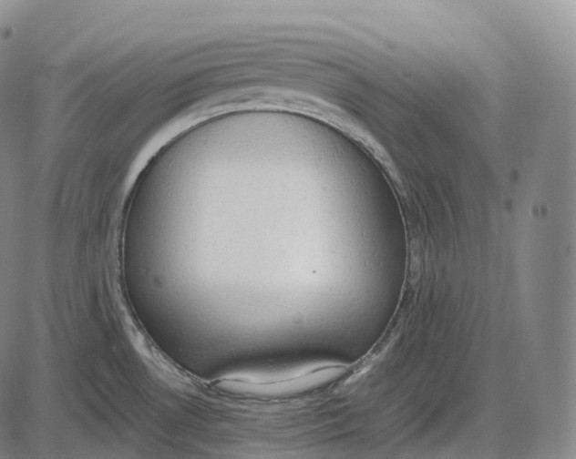 X0000085011530200703261141