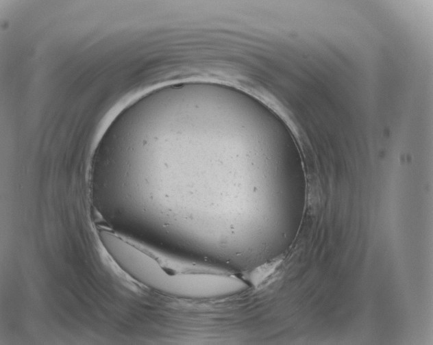 X0000085011532200703261141