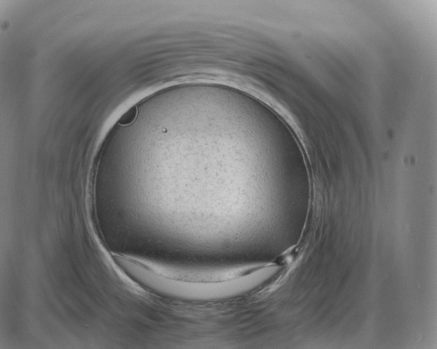 X0000085011533200703261142