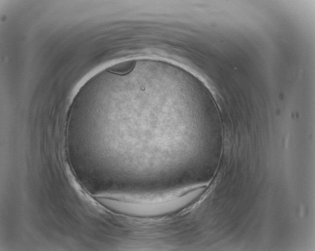 X0000085011534200703261142