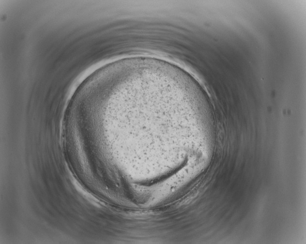 X0000085011535200703261142