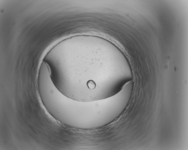 X0000085011536200703261142