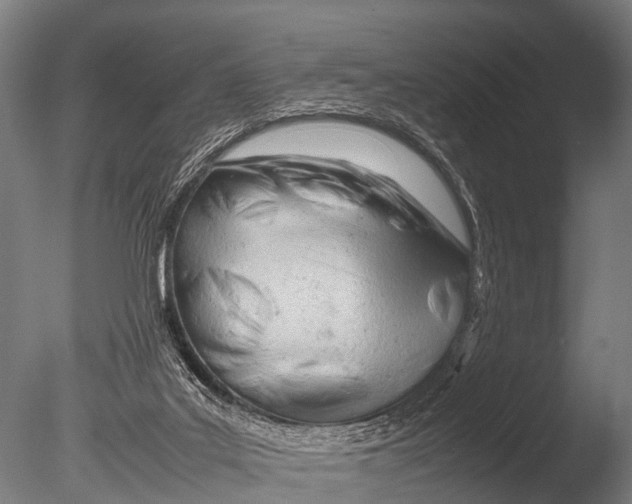 X0000085010019200704021412