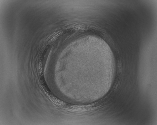 X0000085010029200704021412