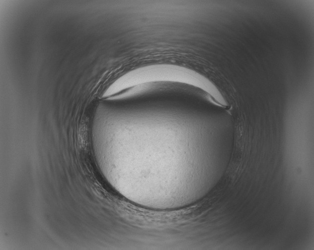 X0000085010035200704021412