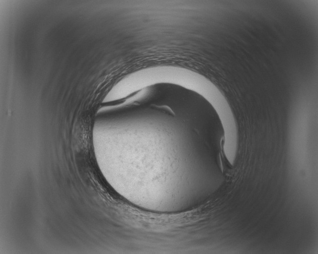 X0000085010039200704021412
