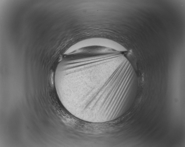 X0000085010041200704021412