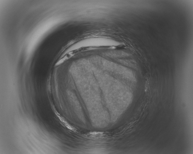 X0000085010052200704021411