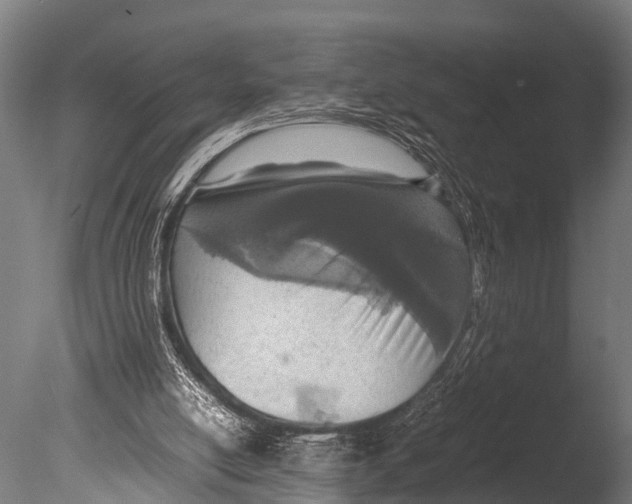 X0000085010054200704021411