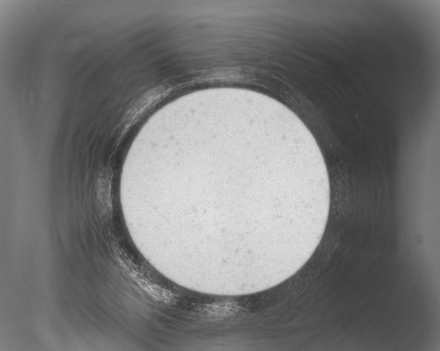 X0000085010112200704021411