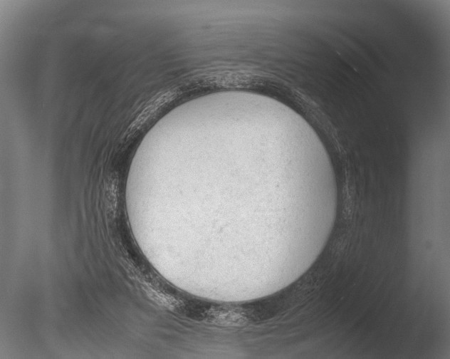 X0000085010113200704021411