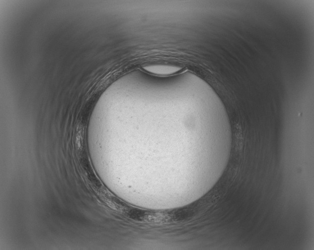X0000085010125200704021411