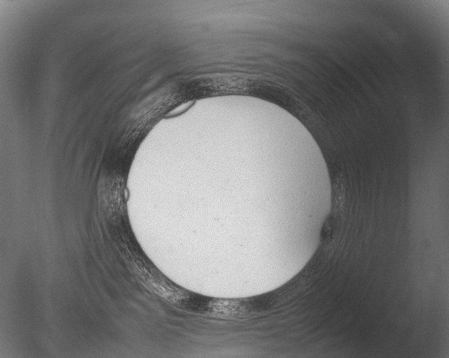 X0000085010141200704021410