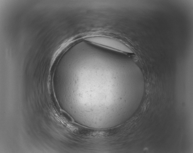 X0000085010152200704021410