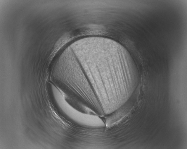 X0000085010156200704021410