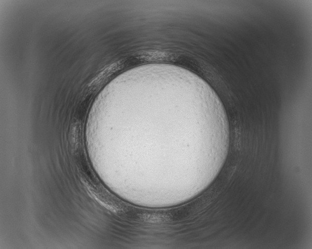 X0000085010165200704021410