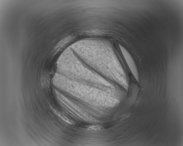X0000085010168200704021410