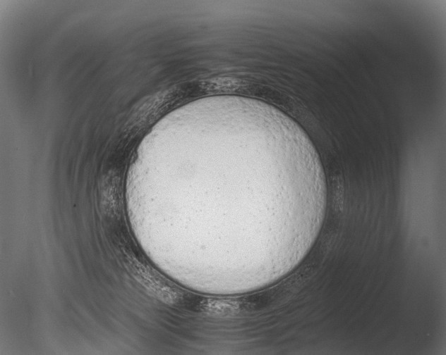X0000085010181200704021410
