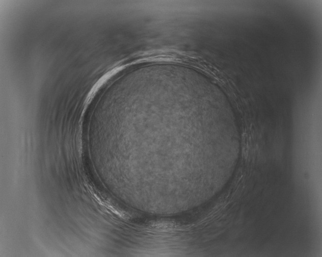 X0000085010200200704021409