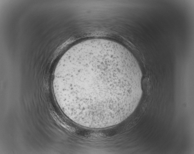 X0000085010203200704021409