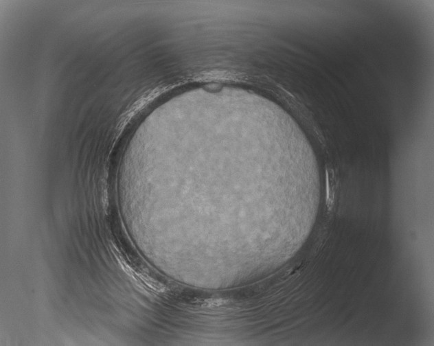 X0000085010204200704021409