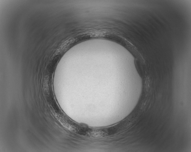 X0000085010209200704021409