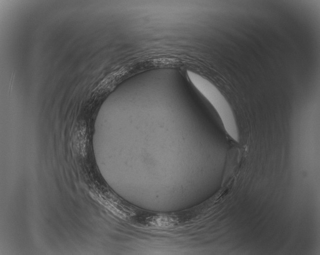 X0000085010223200704021409