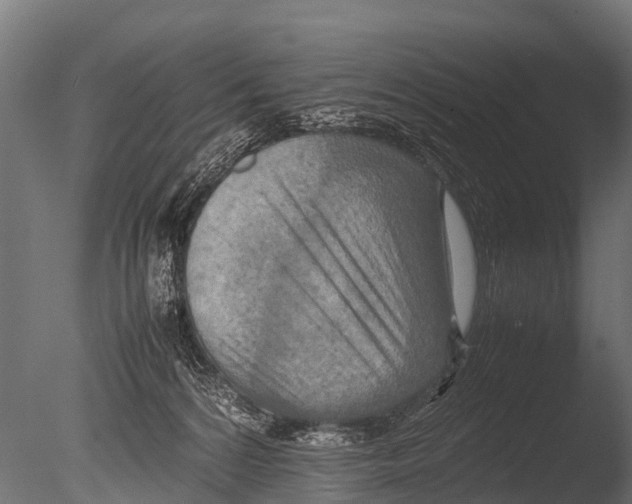 X0000085010224200704021409