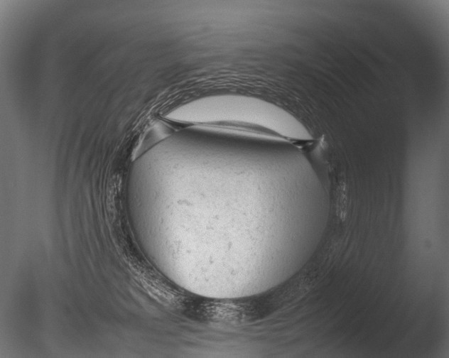 X0000085010229200704021409