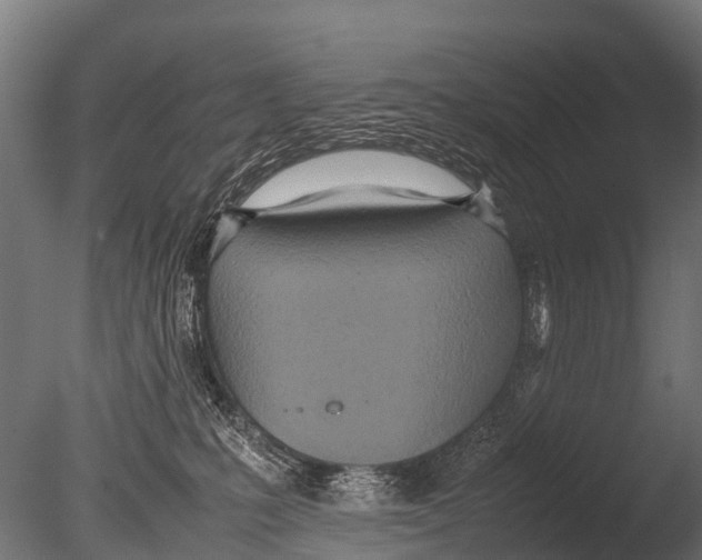 X0000085010231200704021409