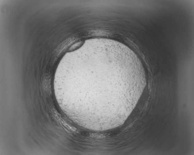 X0000085010249200704021408