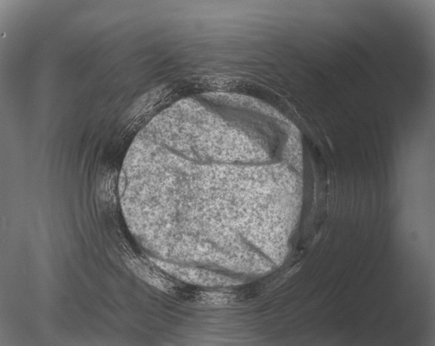 X0000085010286200704021409