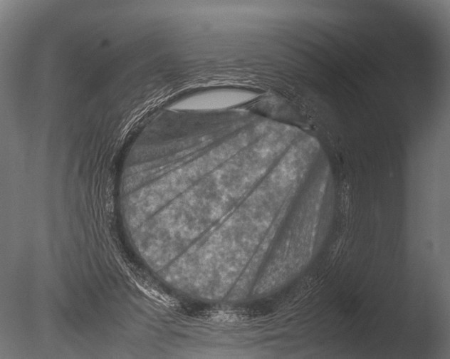 X0000085010303200704021408