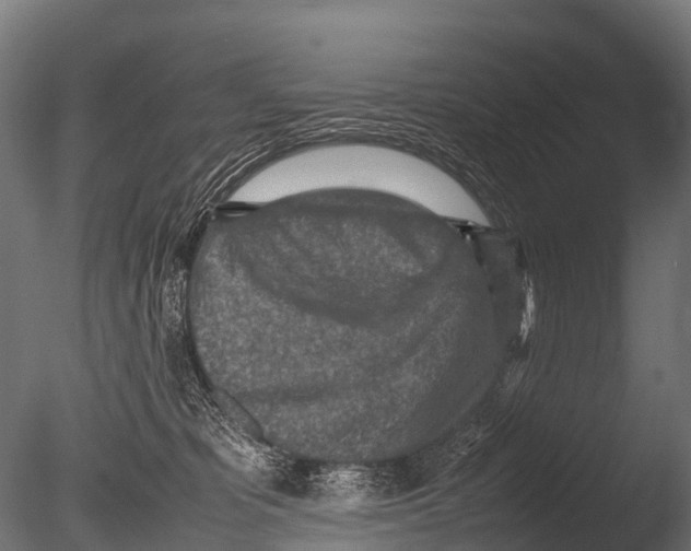 X0000085010325200704021407